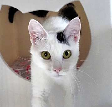 Photo of Miss Yvonne