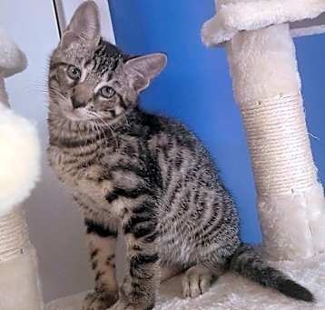 Photo of Fred