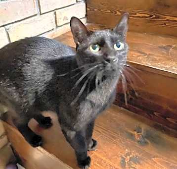 Photo of Monty