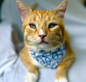 Photo of PRINCE