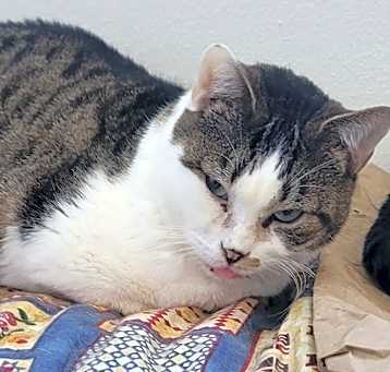 Photo of Wilma