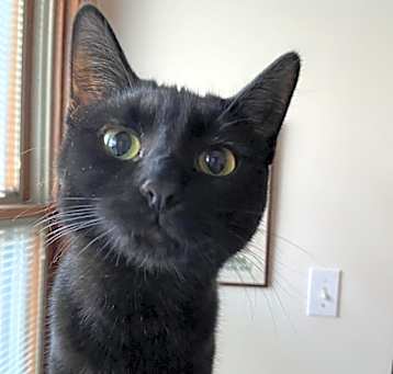 Photo of Tasha