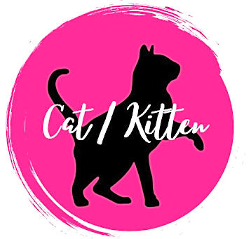 Photo of Cat/Kitten Generic