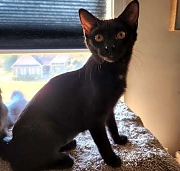 Photo of Fry