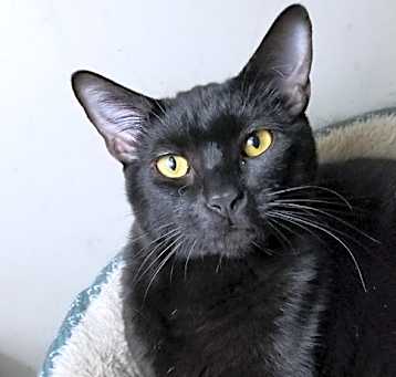 Photo of Buttons