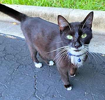 Photo of Bonnie Blue