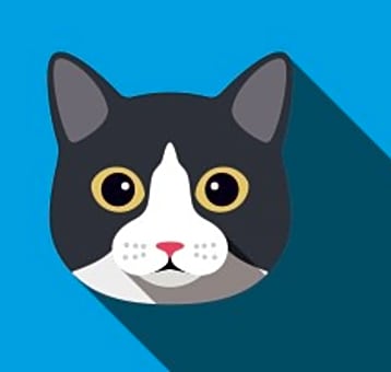 Photo of Marni Moo