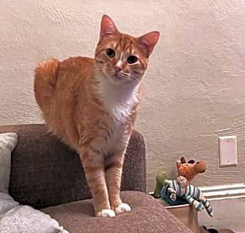 Photo of Boris