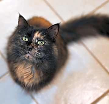 Photo of Puzzle