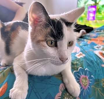 Photo of Galadriel