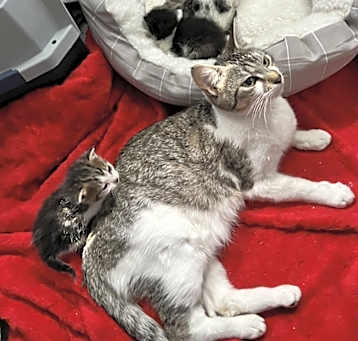 Photo of Karma