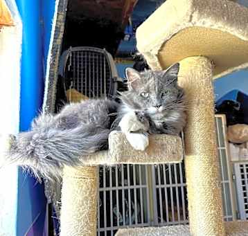 Photo of Sprout
