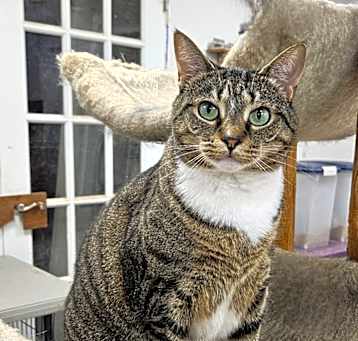 Photo of Squeaky