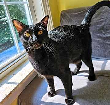 Photo of Luey