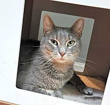 Photo of Jane Grey