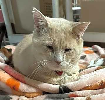 Photo of Sunny