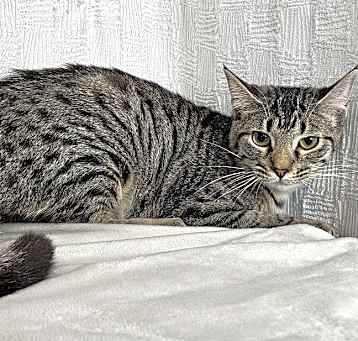 Photo of Kristoff