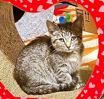 Photo of Graycie