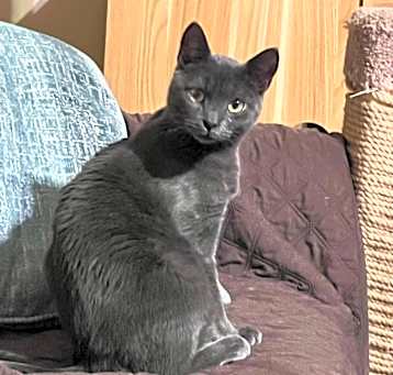 Photo of Tarzan