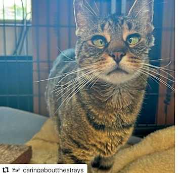 Photo of Frieda