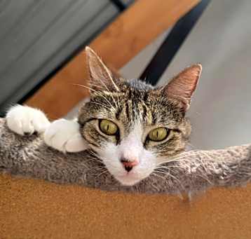 Photo of Mili