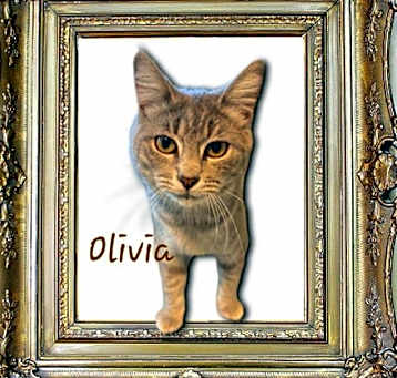 Photo of Olivia #seeks-adventure