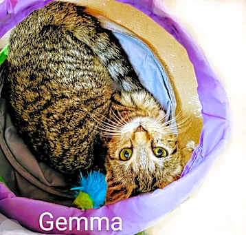 Photo of Gemma