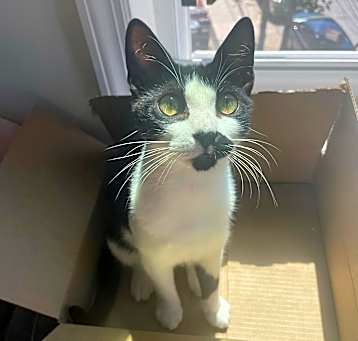 Photo of Suki
