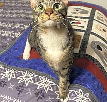 Photo of Buttercup