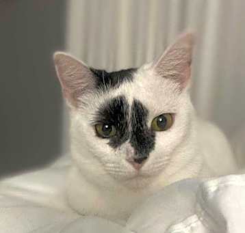 Photo of Lucyfur