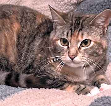 Photo of Elora