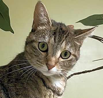 Photo of Vivian
