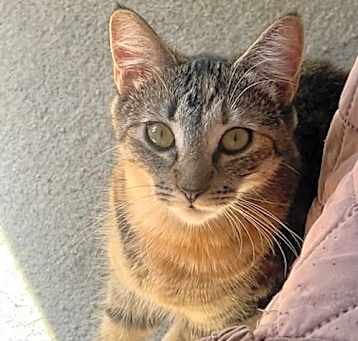 Photo of Snickers