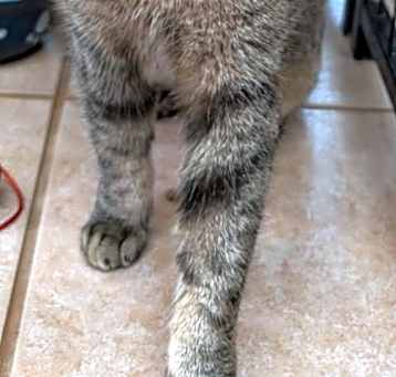 Photo of Fresca