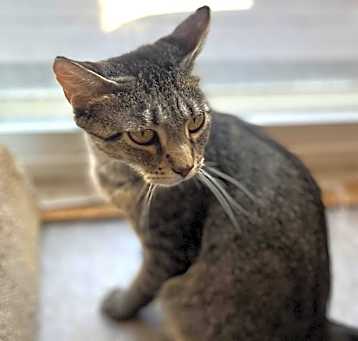 Photo of Millie