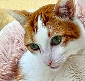 Photo of Buster