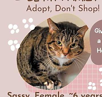 Photo of Sassy