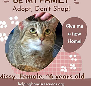 Photo of Missy