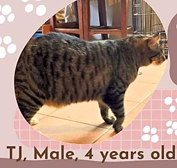 Photo of TJ
