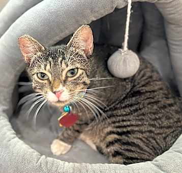 Photo of Swatara