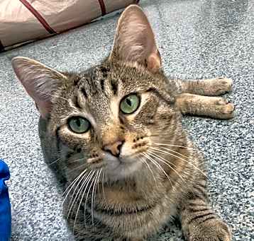 Photo of Tuna