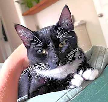 Photo of Yin