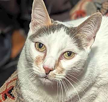 Photo of Mimi