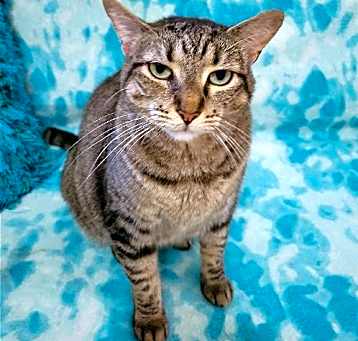 Photo of KIONA