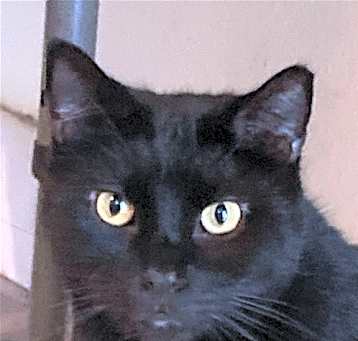 Photo of JuJu