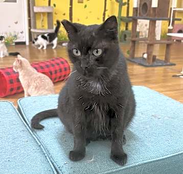 Photo of Sabrina