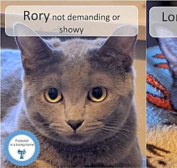 Photo of Rory & Lorelai