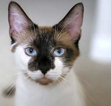 Photo of Charlotte
