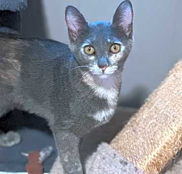Photo of Chloe