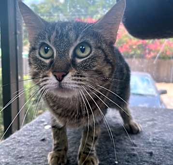 Photo of Ramona